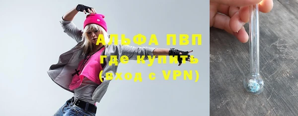 круглые Карпинск