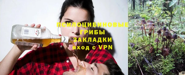 дживик Карталы