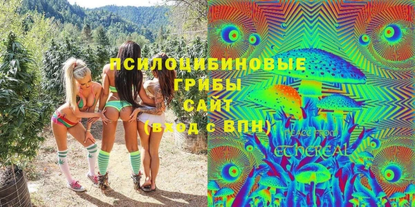 круглые Карпинск